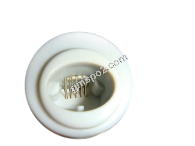 エドワード5ピン - .jpg