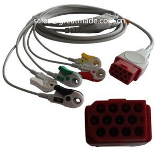 互換性のあるBionet BM3 BM5リード線付きACGワンピースECGケーブル、AHA、5リード、スナップ、赤12ピン